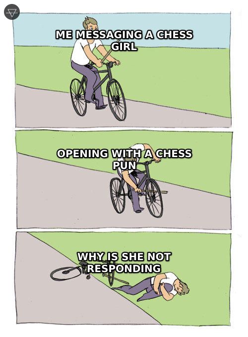 Bike fall meme where a guy messaging a chess girl puts a stick in his own wheel by opening with a chess pun then wonders why she is not responding