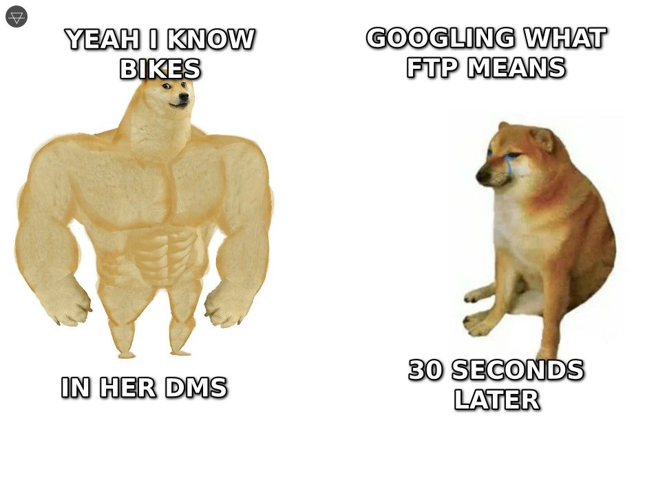 Buff Doge claiming bike knowledge in DMs vs Cheems googling FTP 30 seconds later