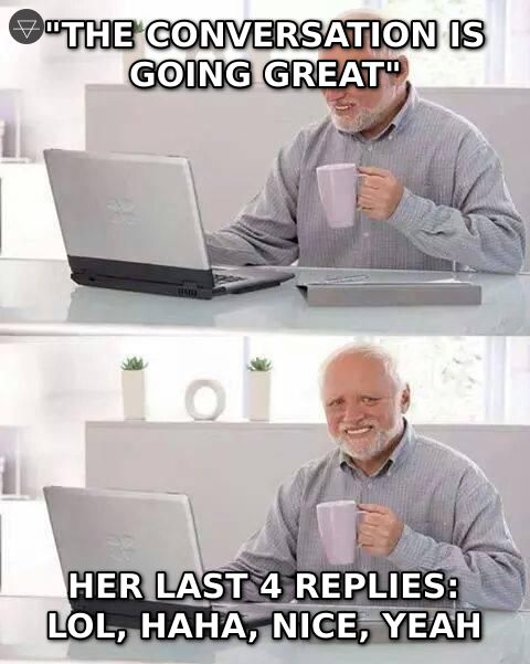 Hide the pain Harold meme showing a guy thinking the instagram conversation is going great while her last four replies were all one word