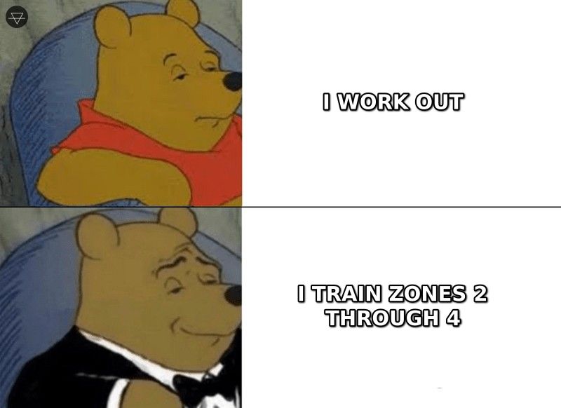 Regular Winnie the Pooh saying I work out while Tuxedo Winnie says I train zones 2 through 4 showing the vocabulary gap between casual and serious