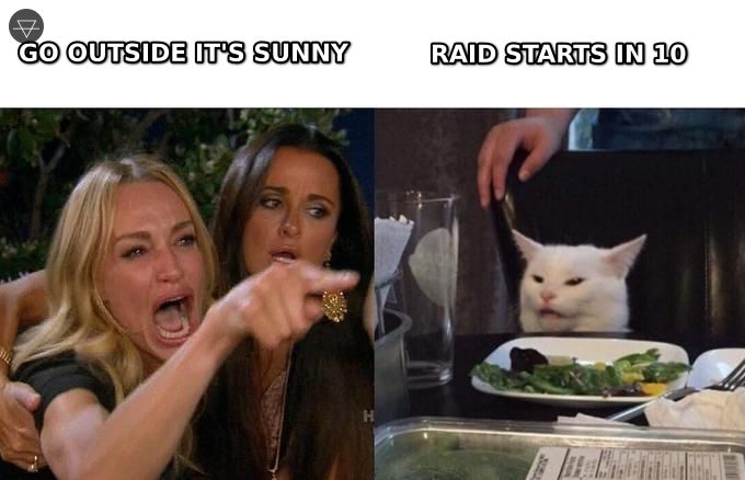 Woman yelling at cat meme about choosing raid over going outside